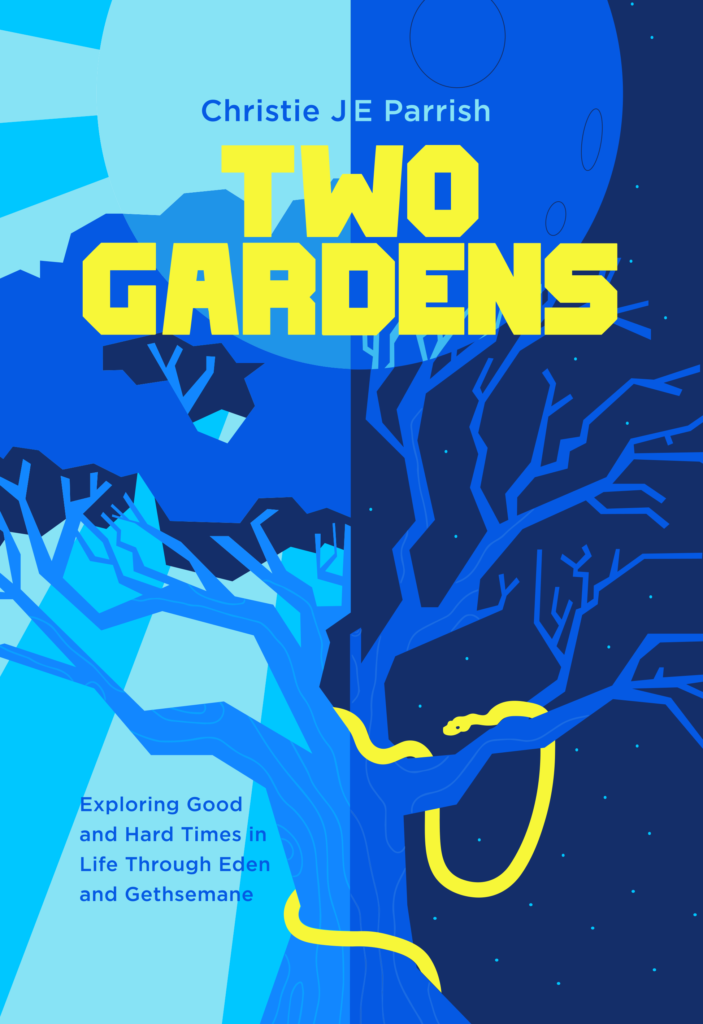 Front cover of my book, Two Gardens